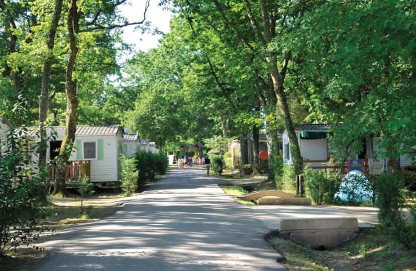 Mobil Home 6 Personnes Camping 4* Mimizan Aureilhan Kültér fotó